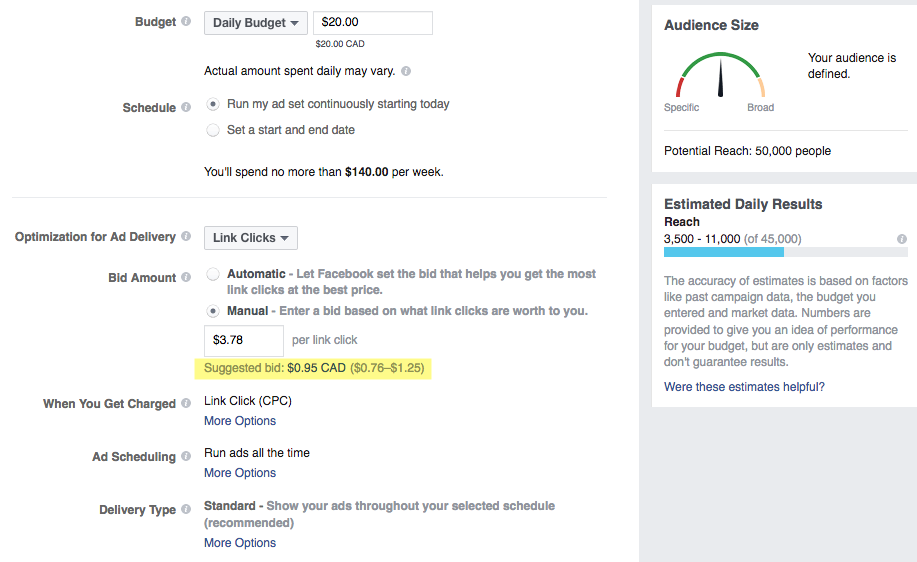 Other example of manual bidding on Facebook ads
